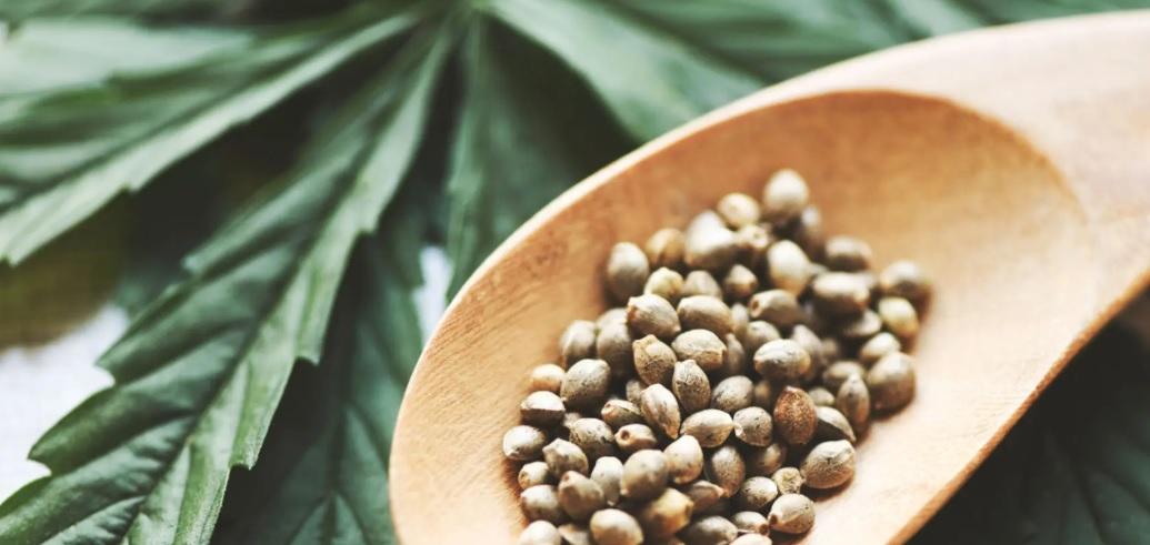 The Ultimate Superfood for Skin: A Secret I Discovered in the Hills - Cover Image