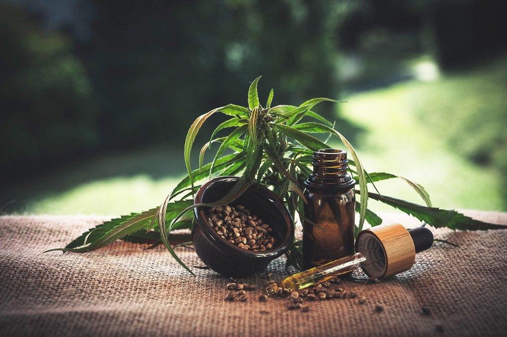 Why I Use Hemp Seed Oil – And Why You Should Too - Cover Image