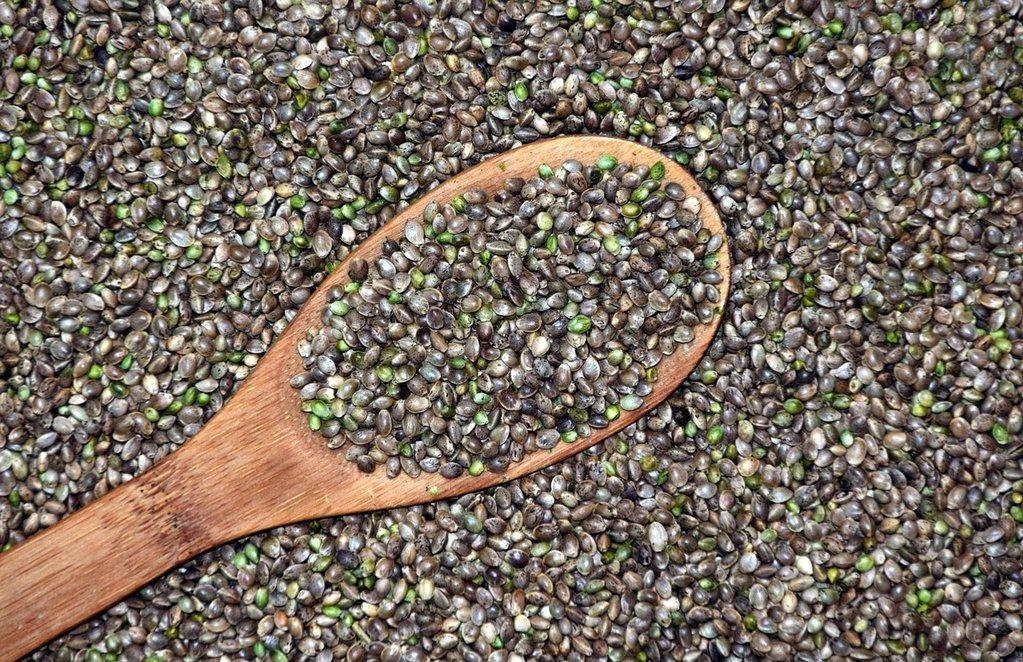 Vegan, Conscious, and Clean: Why Hemp Is the  Future of Beauty  - Cover Image